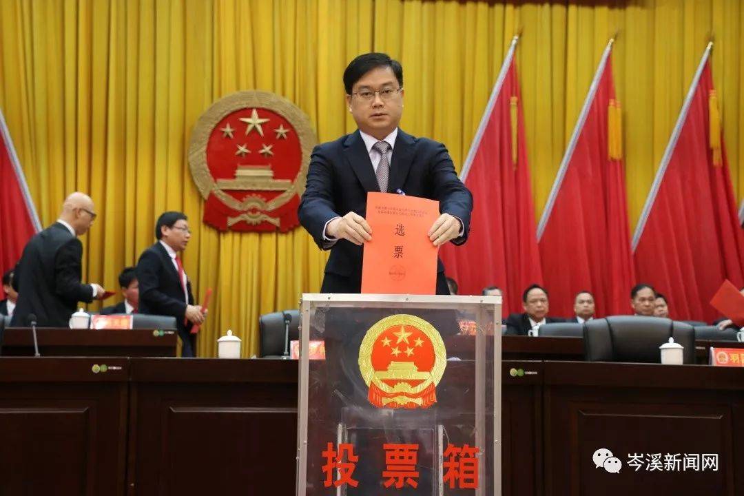 岑溪人事任免信息詳解，獲取指南及初學者進階指南