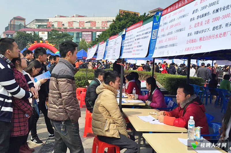 臨桂人才招聘信息,臨桂人才招聘信息——職場發(fā)展的黃金選擇地