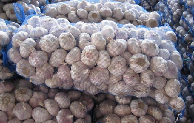 開封大蒜最新市場(chǎng)價(jià)格，時(shí)代味道與市場(chǎng)動(dòng)態(tài)同步更新