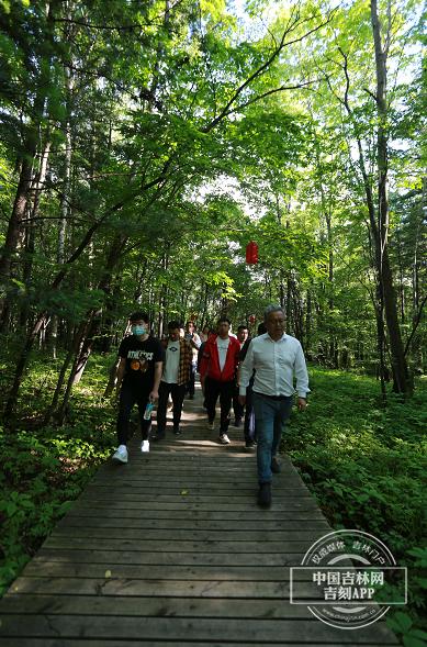 夢幻遮天最新版下載攻略，快速獲取下載渠道與指南