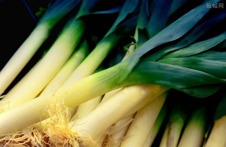今日大蔥價格最新行情,今日大蔥價格最新行情詳解，如何獲取與分析大蔥價格信息