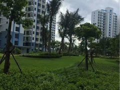 瓊海翠屏灣最新動(dòng)態(tài)更新