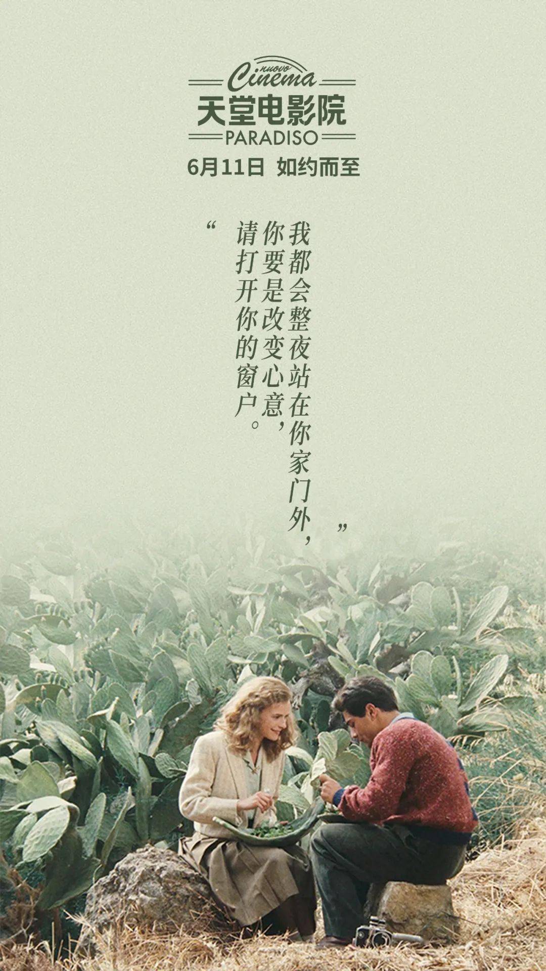 電影天堂，探尋電影的藝術(shù)精髓與無(wú)限魅力