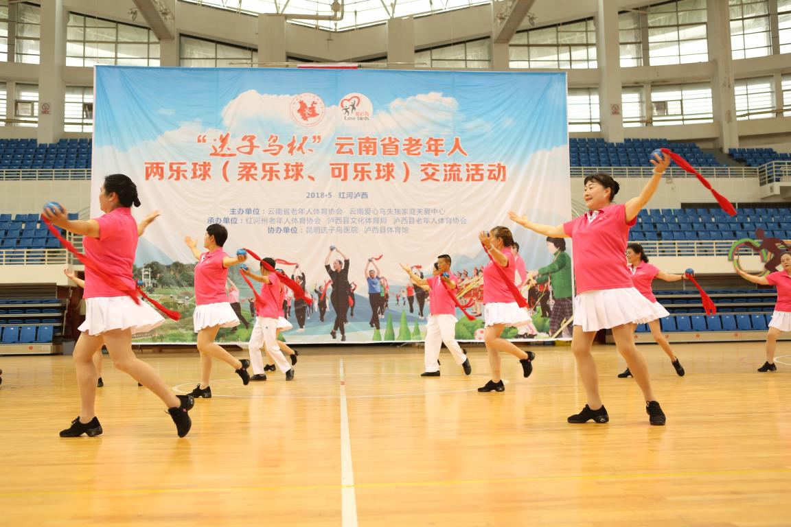 柔樂球精彩演出,柔樂球精彩演出，驚艷四座！