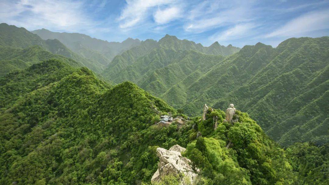 秦嶺最新動態(tài)，探險之旅與溫情之旅的奇妙交匯