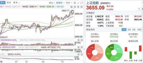 鼠股票,市場(chǎng)熱點(diǎn)深度洞察與解讀