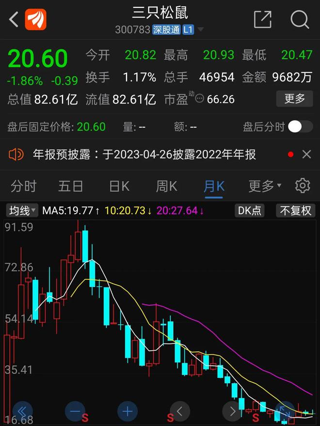 鼠股票,市場(chǎng)熱點(diǎn)深度洞察與解讀