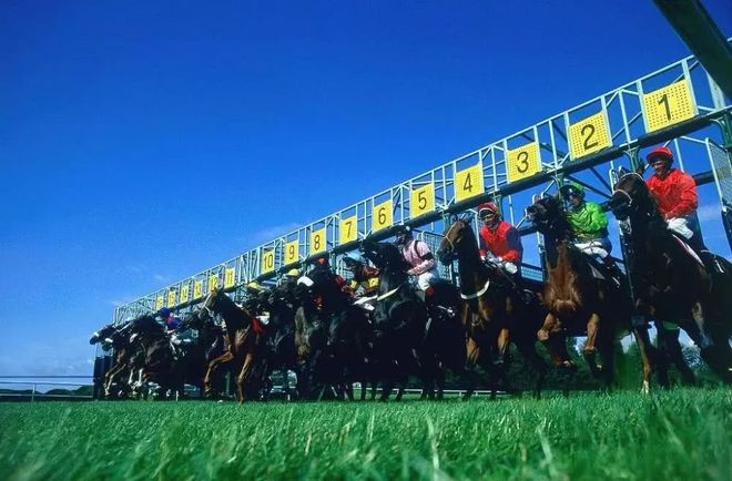 海南賽馬政策最新動(dòng)態(tài)下的賽馬情緣揭秘