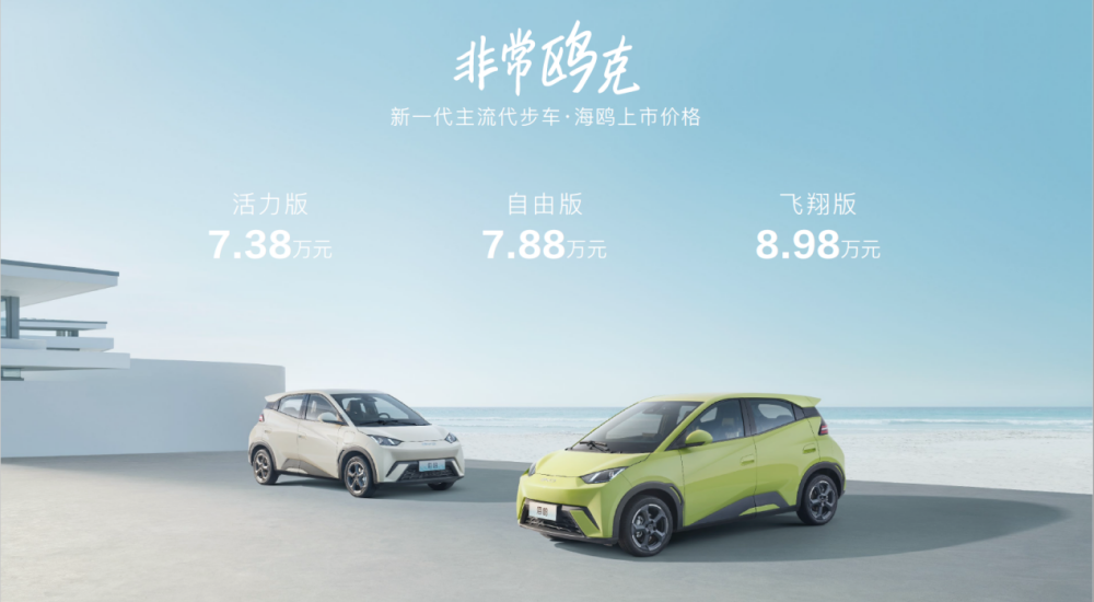 比亞迪海鷗價格背后的故事，與家的溫馨紐帶，探尋海鷗情感價值