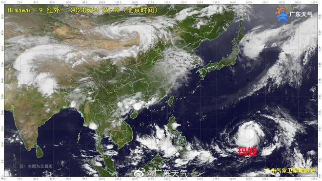臺(tái)風(fēng)瑪娃逆風(fēng)成長與力量展現(xiàn)的最新動(dòng)態(tài)