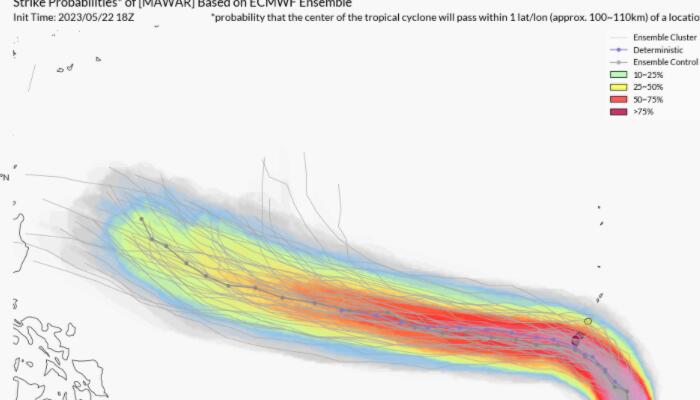 臺(tái)風(fēng)瑪娃逆風(fēng)成長與力量展現(xiàn)的最新動(dòng)態(tài)
