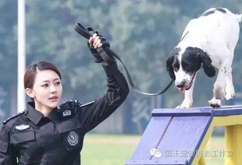 警花與警犬，鐵血柔情演繹真實警魂的演員們