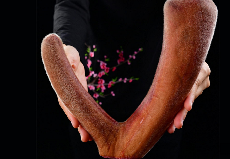 鹿茸500克價格表,鹿茸500克價格表——科技重塑珍稀養(yǎng)生新體驗