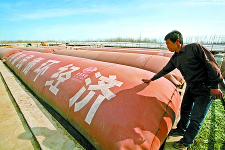 新蔡天龍禽業(yè)最新消息與動(dòng)態(tài)概覽