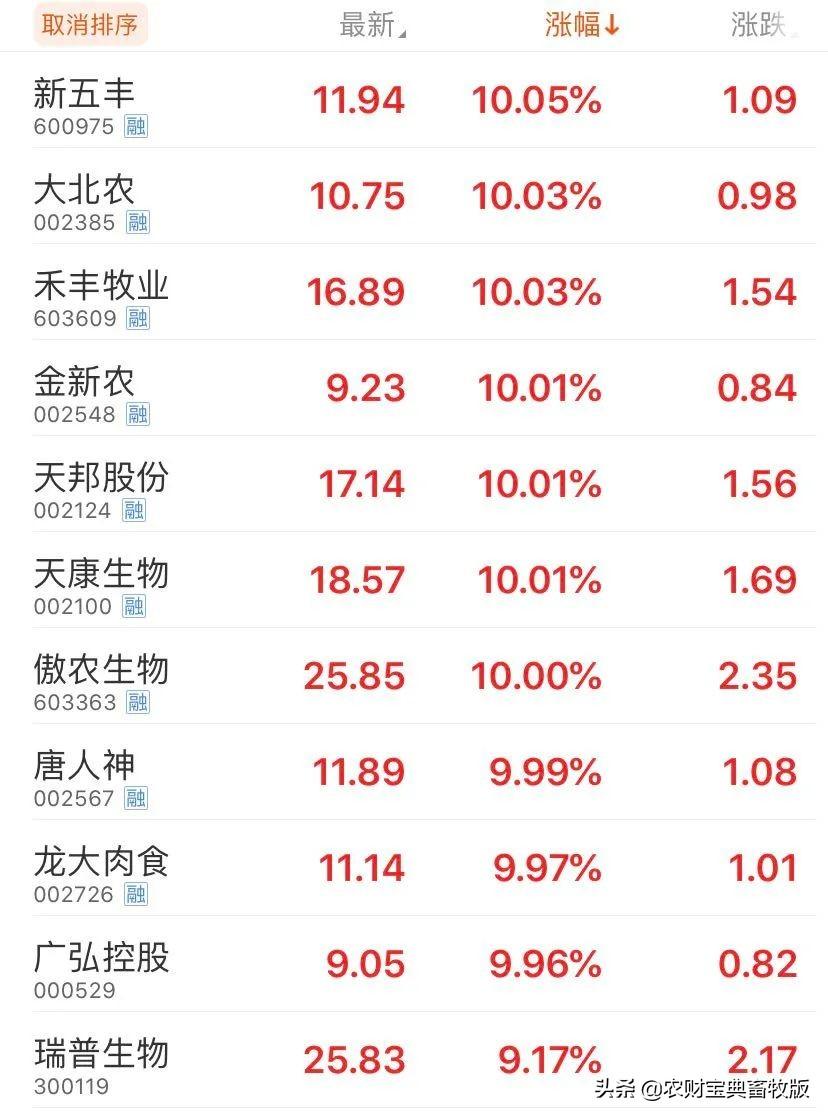 股票新五豐，深度解析投資價(jià)值與策略選擇