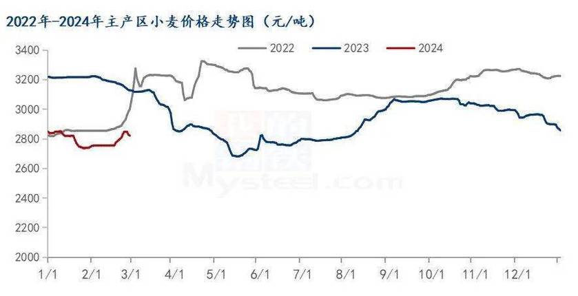 商丘小麥價(jià)格最新行情及分析概述