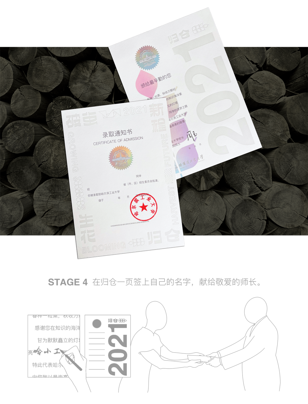 小巷印章探秘，最新章節(jié)揭秘官方印章的魅力