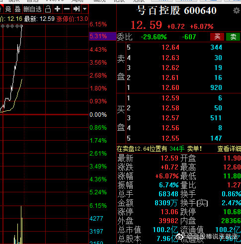 號百控股股票，小巷深處的魅力與探索之旅