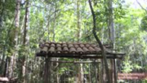 澳洲小哥荒野求生紀實，學(xué)習荒野求生技能的必備指南