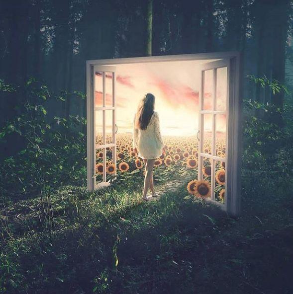 微信收費(fèi)服務(wù)位置查詢(xún)最新探討，功能解析與影響分析