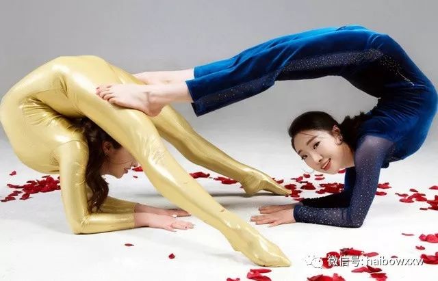 柔術(shù)資訊深度解析，探索世界聚焦要點(diǎn)