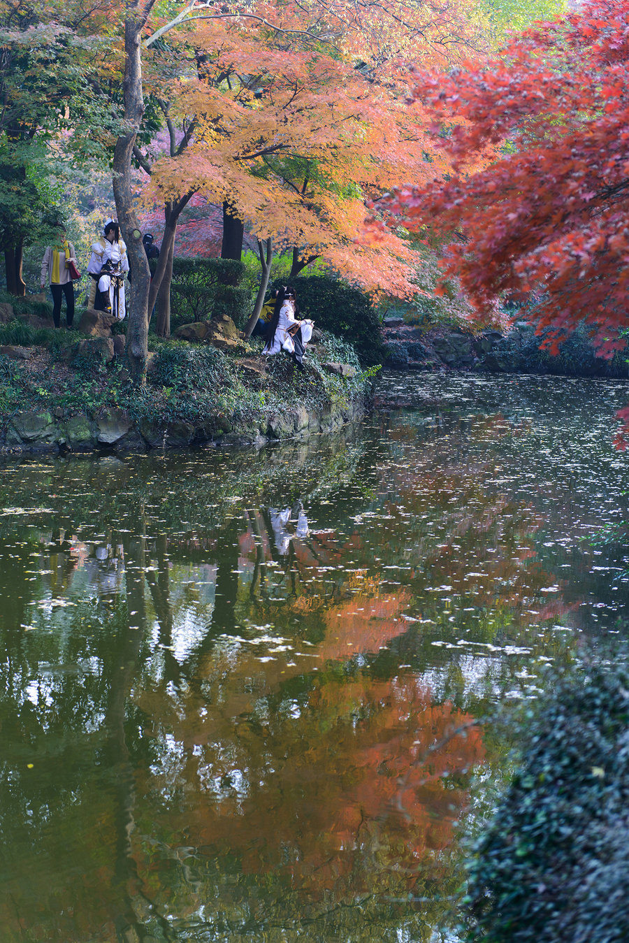 秋霞影院最新，電影藝術(shù)的現(xiàn)代盛宴