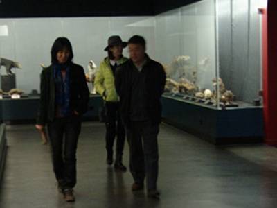 李元潮最新動態(tài)揭秘，小巷深處的獨特風(fēng)味探秘之旅