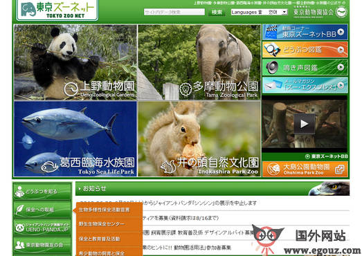 最新動(dòng)物園網(wǎng)站，自然美景的探索之旅