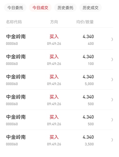 中金嶺南行情深度解析，最新動(dòng)態(tài)與走勢(shì)分析