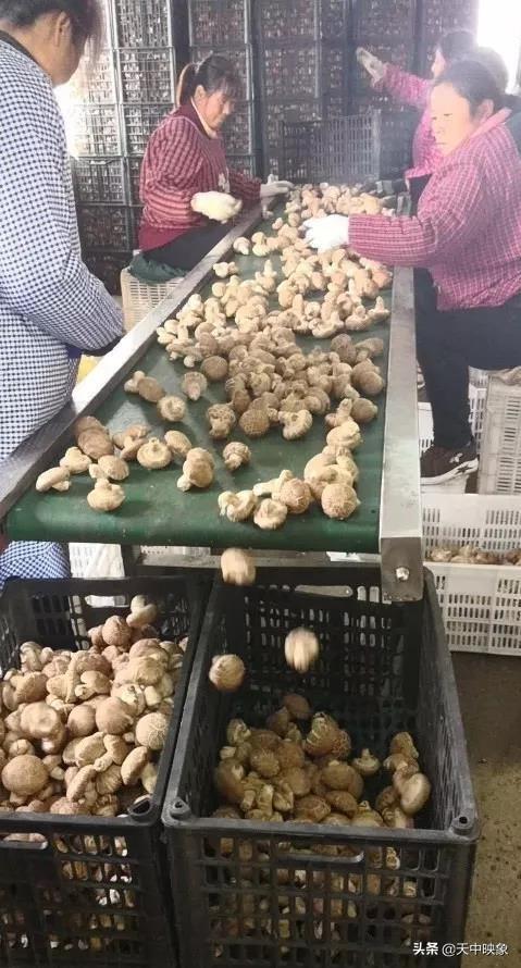 辦公打印 第117頁