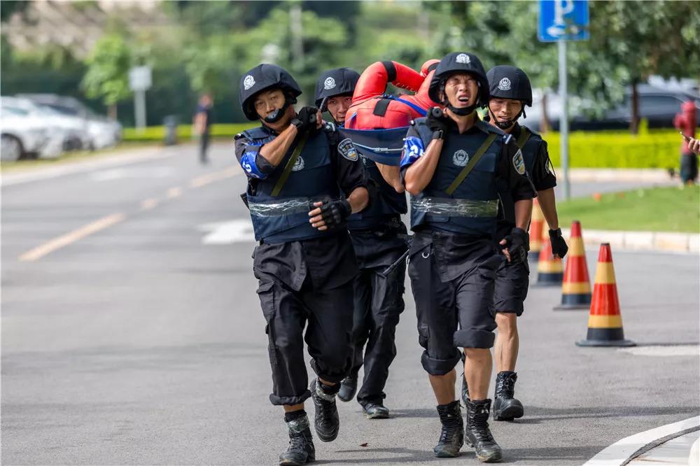 電視劇武裝特警演員表，自信、變化與成就感的勵志之旅探索