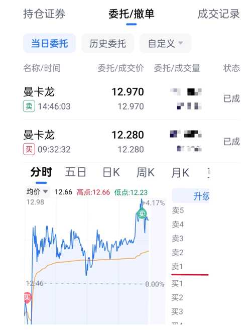 卡曼龍股票深度解析與未來前景展望