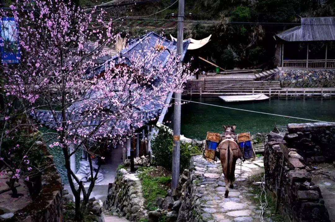 瑞安地圖更新，城市變遷與我們的成長之路