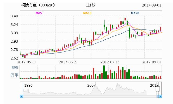 揭秘000630股票，投資潛力與策略深度解析