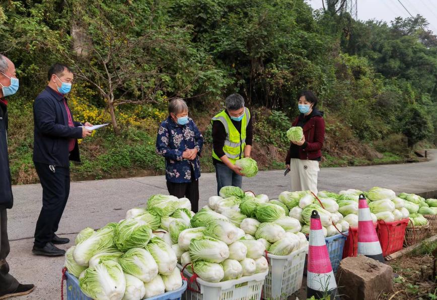 重慶演員李曉的溫馨日常分享