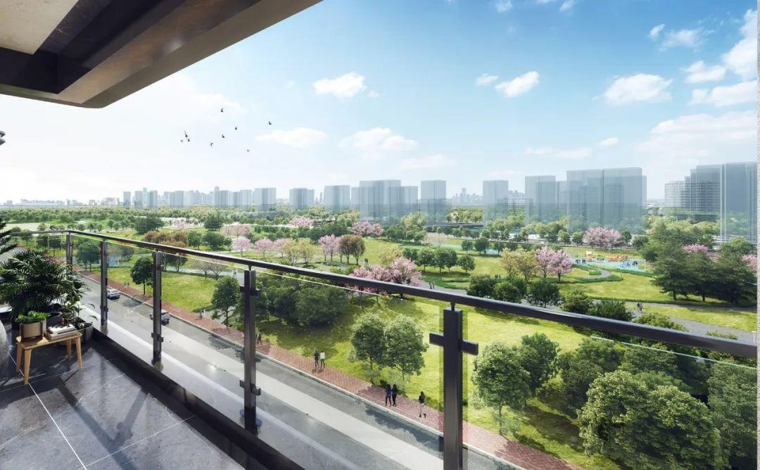 港悅城最新動態(tài)，變化中的學(xué)習(xí)之旅，自信與成就感的源泉