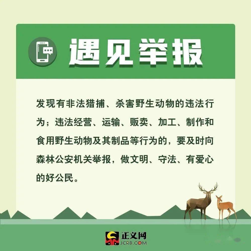 最新野生動物保護法規(guī)與小巷深處的綠色秘境探秘，保護行動與獨特小店的獨特故事