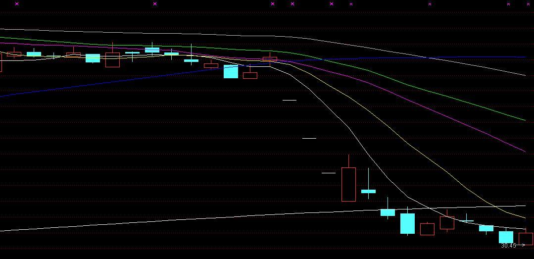 揭秘空頭股票，賺錢新姿勢，你掌握了嗎？