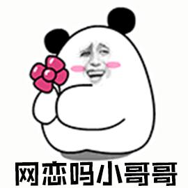 開啟并經(jīng)營(yíng)一段網(wǎng)戀關(guān)系的實(shí)用指南，一步步教你掌握網(wǎng)戀動(dòng)態(tài)！