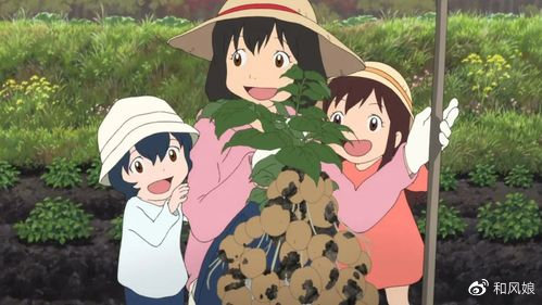 日本治愈動漫電影的探索與欣賞指南