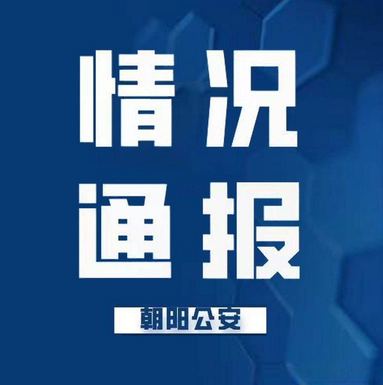 最新動態(tài)揭示，平凡日常的溫馨故事