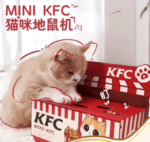 肯德基兒童套餐最新贈品，學(xué)習(xí)與成長的力量之源