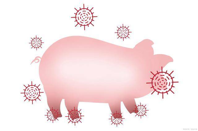 豬瘟疫情最新動(dòng)態(tài)，一場(chǎng)與自然美景的輕松遨游之旅