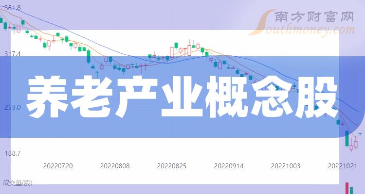 養(yǎng)老上市公司，小巷中的隱秘寶藏與特色小店的無限魅力探索