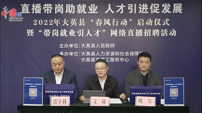 大英縣職位招聘探秘，小巷寶藏與特色小店的邂逅之旅