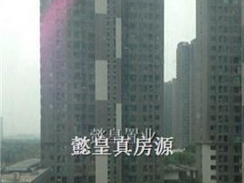 洛陽泉舜房價最新動態(tài)全面解析，如何獲取與理解房價走勢及最新消息