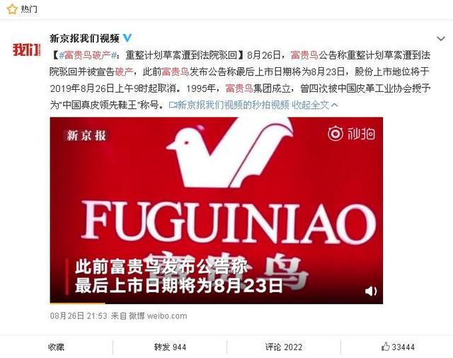 富貴鳥(niǎo)逆境重生，破產(chǎn)背后的力量與變化之美