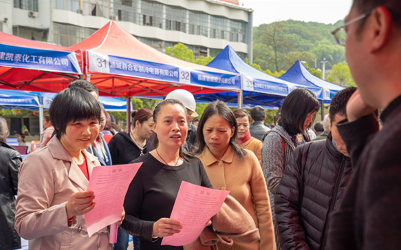 浦城縣招聘網(wǎng)最新招聘，職業(yè)發(fā)展的起點之門