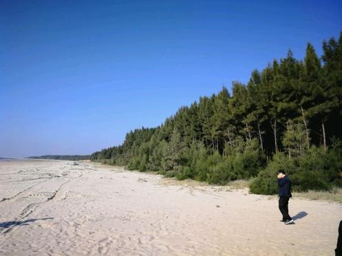 2025年第22號(hào)臺(tái)風(fēng)最新動(dòng)態(tài)及應(yīng)對(duì)指南(全階段用戶參考)