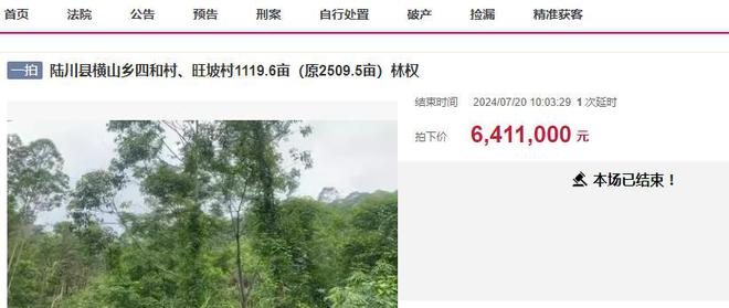 廣西桉樹(shù)最新收購(gòu)價(jià)格及其背后的溫情故事